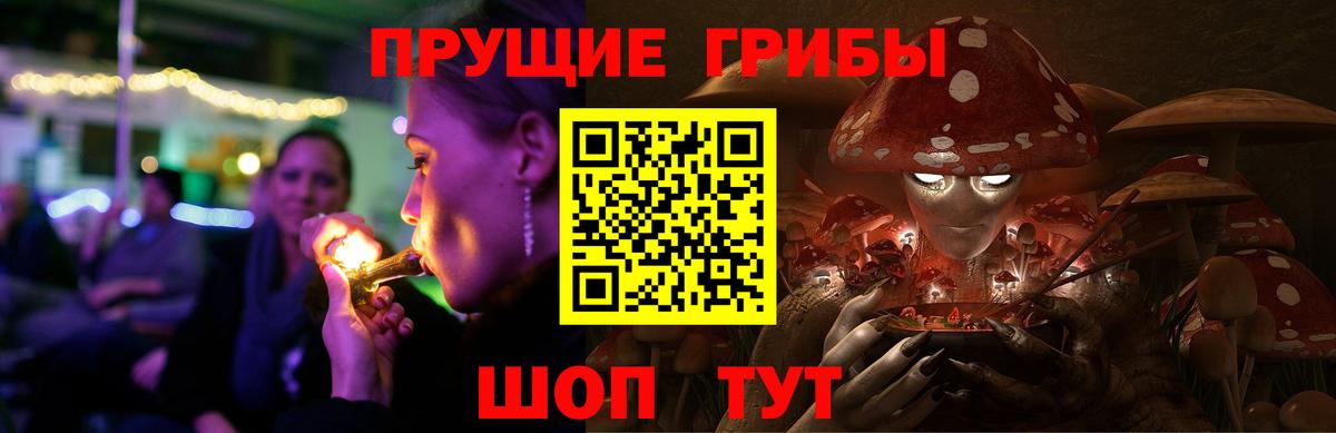 Галлюциногенные грибы Psilocybine cubensis Мыски